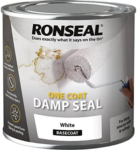 Review of Ronseal Anti Condensation White Matt Damp seal paint, 2.5L
