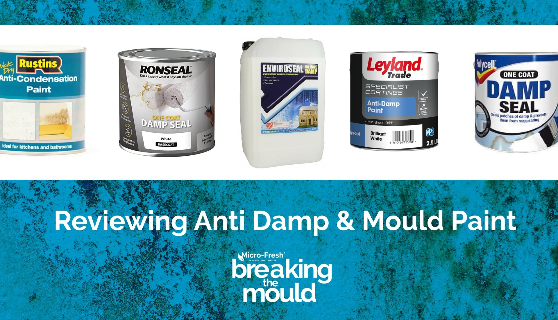 Review of best Anti mould and anti damp paints